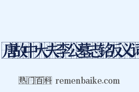 唐故中大夫李公墓志铭反义词是什么意思的图片
